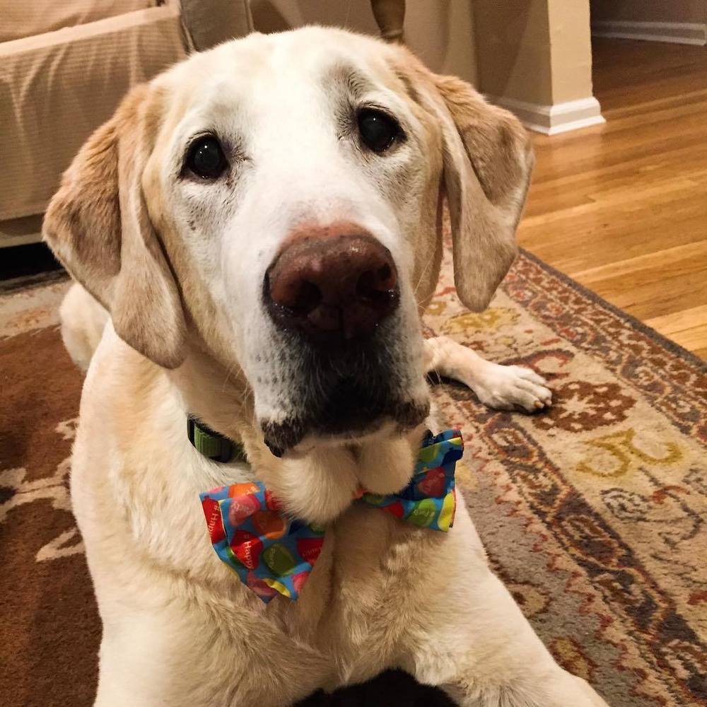 Meet your Posher, Colleen